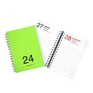 agenda 2024 giornaliera 365 giorni spirale tavolo lavoro scuola verde chiaro